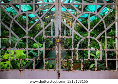 Tropical garden locked under rustic metallic gate. Exotic orchid greenhouse. Secret garden part in tropical park. Exotic plant growing. Rusty gate entrance to green bush. Orchid flower cultivation. 