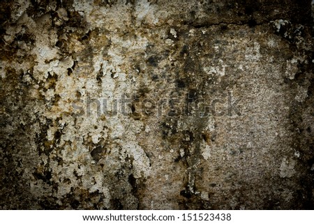 the image of the Stain on the wall