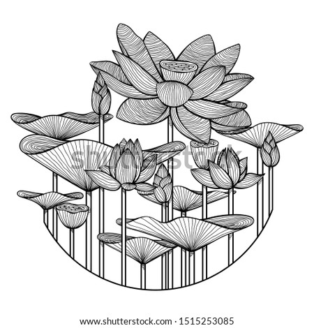 Lotus Flower Illustration, Unique Hand Drawn Style, Isolated Vector