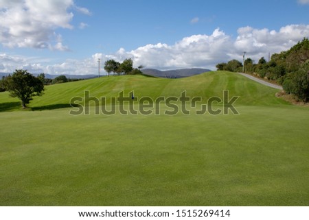 Sunny summer day out on a Irish golf course