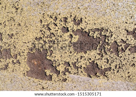 Close up view on detailed concrete wall textures in a high resolution