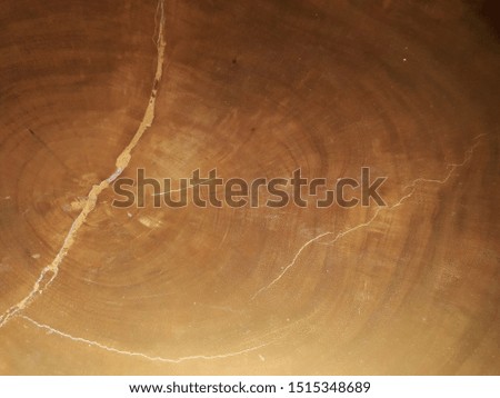 layers of wood texture with natural patterns