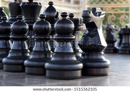 Large chess pieces for playing on the street