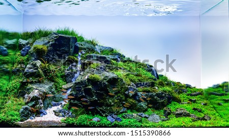nature style aquarium tank with a variety of aquatic plants inside. Royalty-Free Stock Photo #1515390866