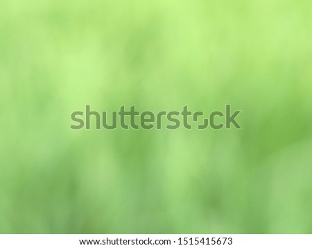 Green field background - blurry bokeh light