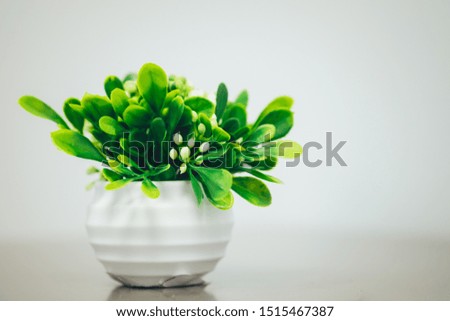 Green plant vases decorate the building against a blurred white background.
