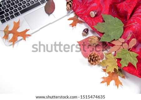 Autumn composition with computer, mug, blanket and leaves.