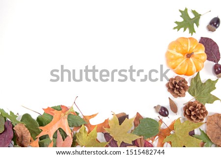 Thanksgiving Halloween fall background with pumpkin and leaves.