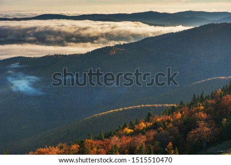 Autumn season in the Ukrainian Carpathian Mountains with beautiful fogs and fantastic views