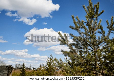 Beautiful blue sky with white clouds over field and village in a early spring or autumn day