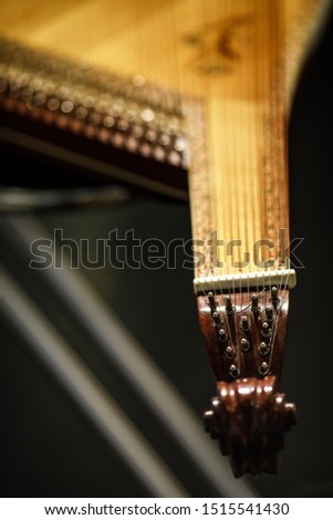 Bandura close up, Ukrainian musical instrument. Ukrainian folk musical instrument