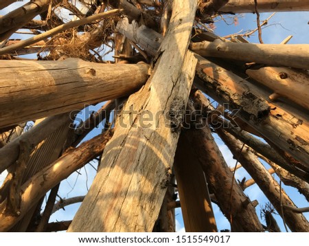 Under the top of wooden wigwam. Sunset is shining and making abstract form of wood, sunlight and shadows. Royalty-Free Stock Photo #1515549017