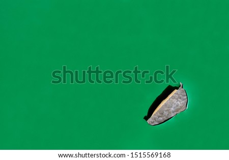 A metal sheet with green paint has a peel off surface. It shows the tearing defect including the base material.  Material, quality, renovation and object concept.