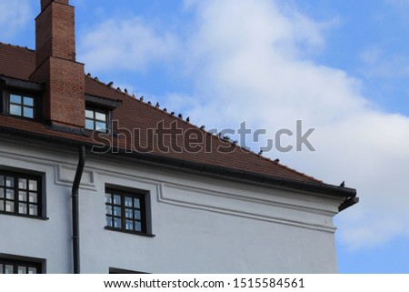 Pigeons sit on the roof of an old building