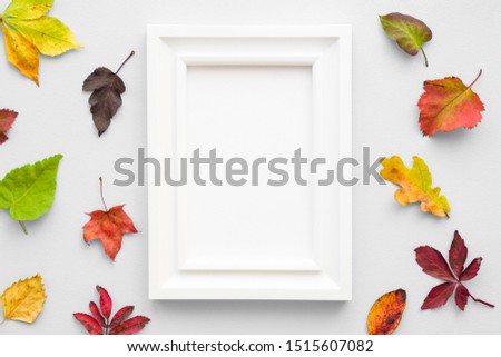 Welcome autumn. Colorful different leaves with white frame on gray desk. Empty place for inspirational, positive text, quote or sayings. Flat lay.
