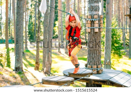 Little boy with climbing gear climbing rope trail between pine trees in an adventure park. Boy enjoys climbing in the ropes course adventure. Rope park.