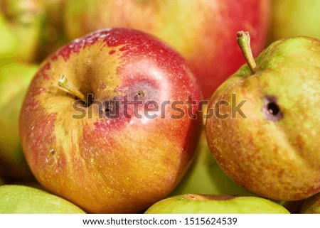 Organic red apples, some are rotten, and some are perfect
