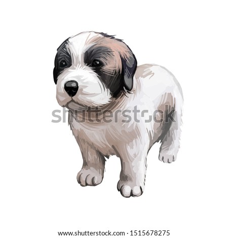 Moscow watchdog, dog purebred for protection digital art. Russian pet, smal puppy watercolor portrait of canine, canis familiaris from Russia. Guardian and protecting breed of standing animal