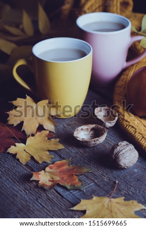 cozy autumn tea - tea with milk, apples, nuts and a warm sweater
