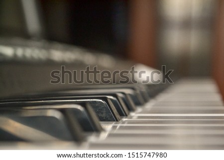 
black and white keys of a piano musical instrument