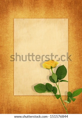 Rose flower on craft paper background. Old postcard for congratulation or invitation a single yellow rose summertime. Text box. Blank greeting cards.