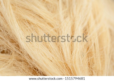 sisal fiber texture close up
