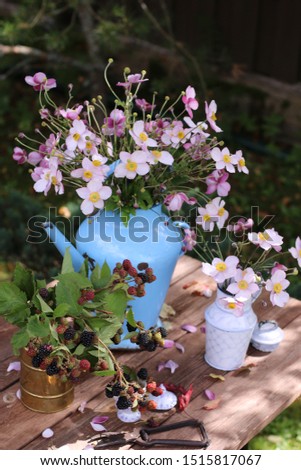 Autumn composition in garden with branches of blackberries, bramble in old brass canister, anemones in enamel authentic watering can, pitcher, rustic secateurs, vintage style, daylight, vertical photo