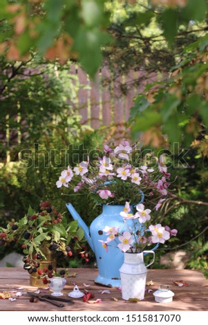 Autumn composition in garden with branches of blackberries, bramble in old brass canister, anemones in enamel authentic watering can, pitcher, rustic secateurs, vintage style, daylight, vertical photo
