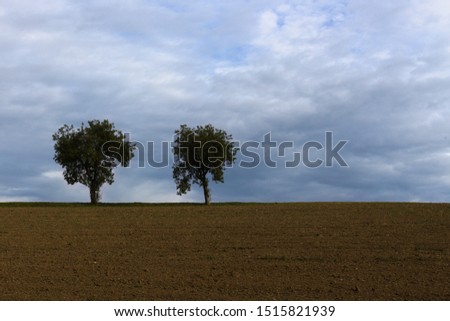 Plowed field with two apple trees on thee horizon
