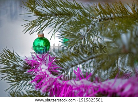 Closeup Christmas tree decorations in the form of glass balls hanging on a spruce branch with needles, snow and a blurred background.