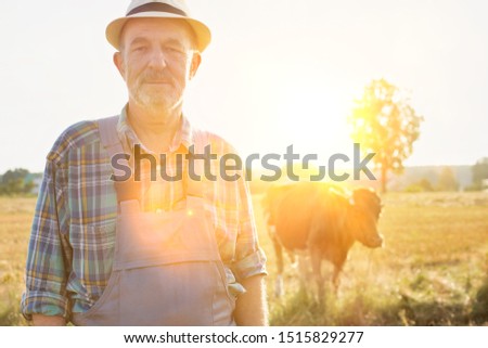Confident senior farmer standing in field with yellow lens flare in background