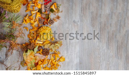 Autumn still life with a pumpkin, chanterelle mushrooms, chestnuts, red berries, pine needles, cones and fallen leaves,selective focus