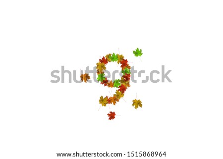 Number nine made with autumn leaves isolated on white. Fall concept. Organic digits from 0 to 9