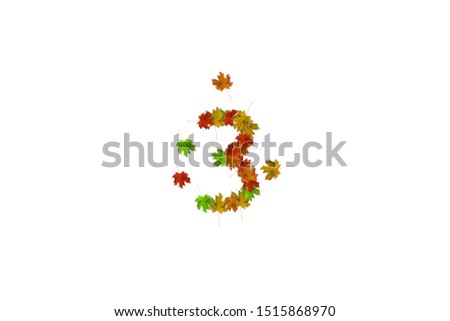 Number three made with autumn leaves isolated on white. Fall concept. Organic digits from 0 to 9