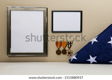 American Flag with 2 Picture Frames and Viet-Nam Service Metals