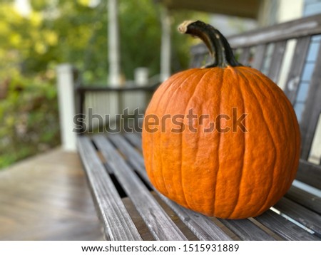 A pumpkin on a hanging seat