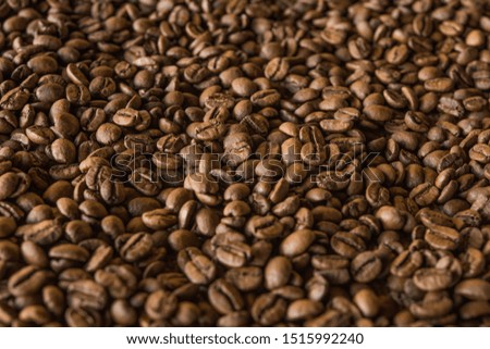 Grains of the best coffee produced in Brazil