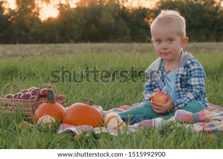 Cute child (toddler boy)  holds apple . Kid at farm, harvesting time, fall autumn season concept