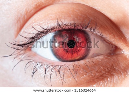 Human eye close-up. Macro photography. 