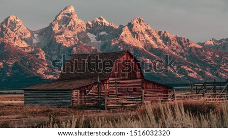 The Famous John Moulton Barn at sunrise in the Historic Mormon Row District of Grand Teton National Park, Wyoming, USA. Morning sunshine on the Teton Mountains in the background.  Royalty-Free Stock Photo #1516032320