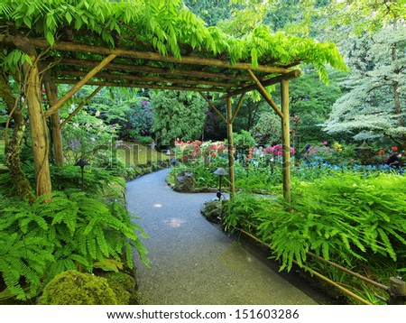 Pergola covered with climbing plants over the walkway in the lush garden