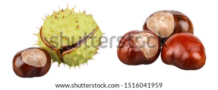 A group of ripe chestnuts and chestnut in a bursted peel. Isolated picture.