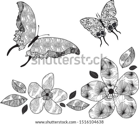 Zenart coloring book Plumeria and tropical butterfly