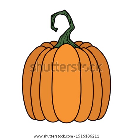 halloween pumpkin fruit seasonal icon vector illustration design