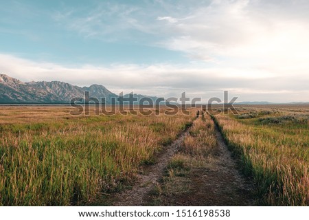 A gravel road through the open prairie grass off the Mormon Row Historical District in Grand Teton National Park, Wyoming, USA.  Royalty-Free Stock Photo #1516198538