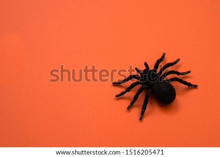 Image of toy spider with orange background. Hallowen party decoration Royalty-Free Stock Photo #1516205471