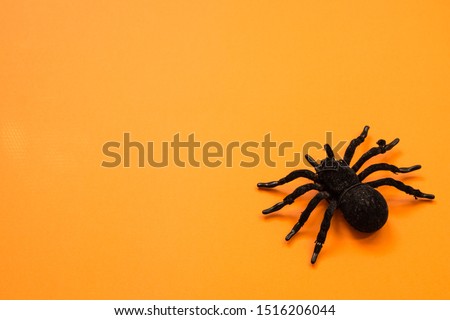 Image of toy spider with yellow background. Hallowen party decoration Royalty-Free Stock Photo #1516206044