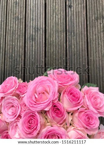 
Erkelenz (Germany). September 2019. Roses