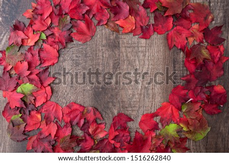 Round frame of fall color in red, green, yellow, and orange maple leaves on a rustic wood background
