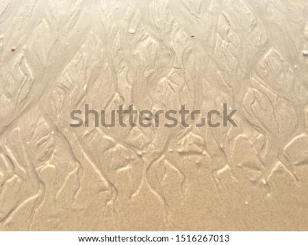 The real watermark on the beach